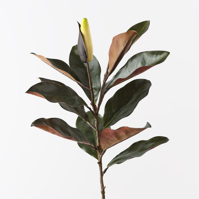 Magnolia Bud Leaf Spray Cream Green 86cm Pack of 12