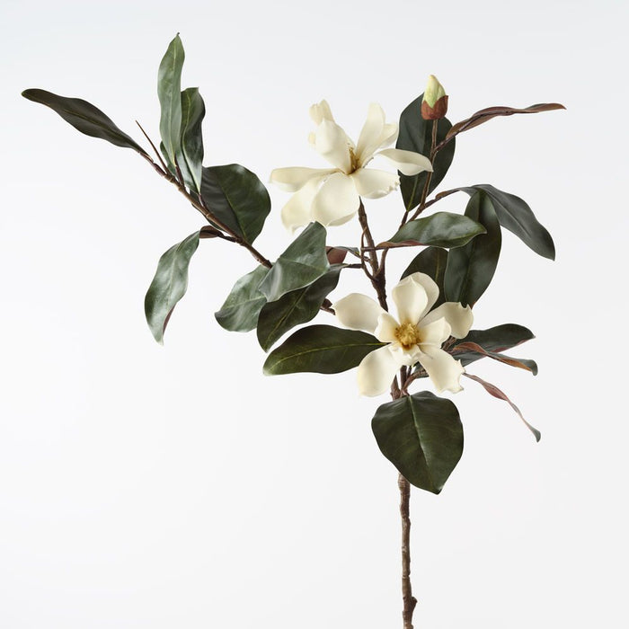 Magnolia Spray Cream Green 124cm Pack of 6