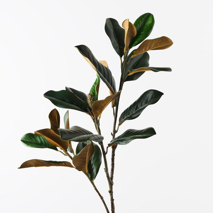 Magnolia Leaf Spray Green 106cm Pack of 12