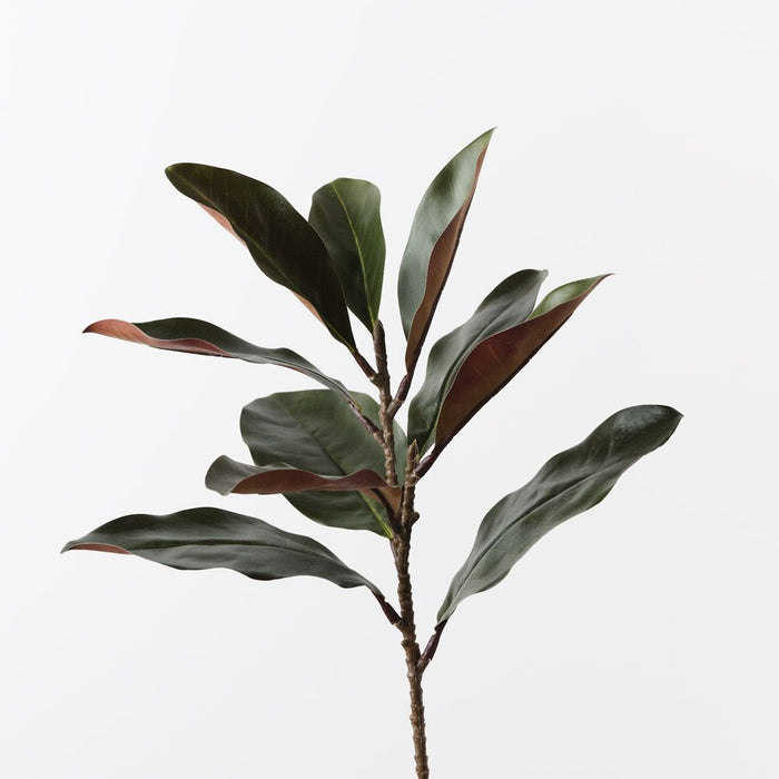 Magnolia Leaf Spray Green 52cm Pack of 12