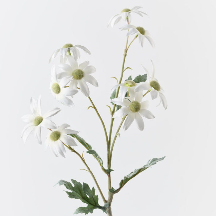 Flannel Flower Spray White 72cm Pack of 12
