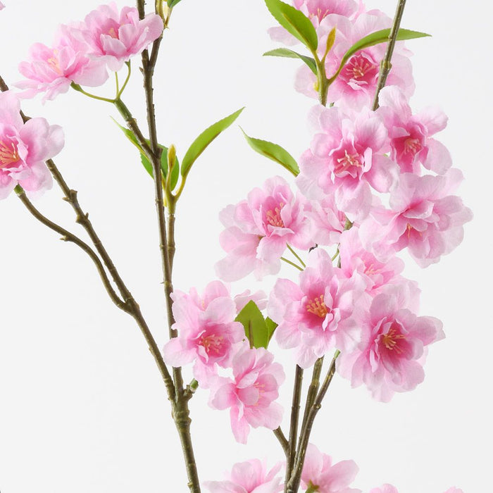 Blossom Apple Pink 125cm Pack of 2