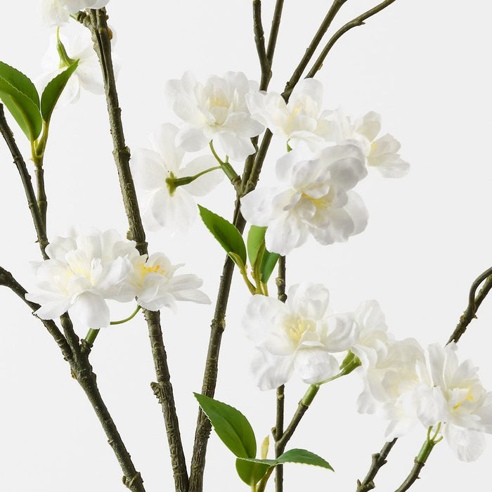 Blossom Apple White 125cm Pack of 12