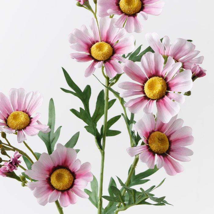 Daisy Crown Spray Pink Mauve 73cm Pack of 12