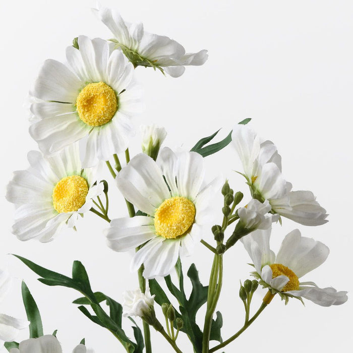 Daisy Crown Spray White 73cm Pack of 12