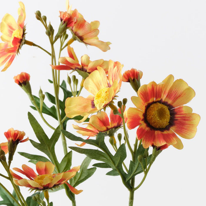 Daisy Crown Spray Yellow Orange 73cm Pack of 12