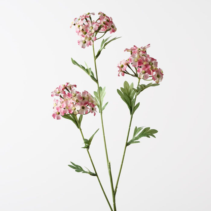 Achillea Spray Pink Mauve 68cm Pack of 12