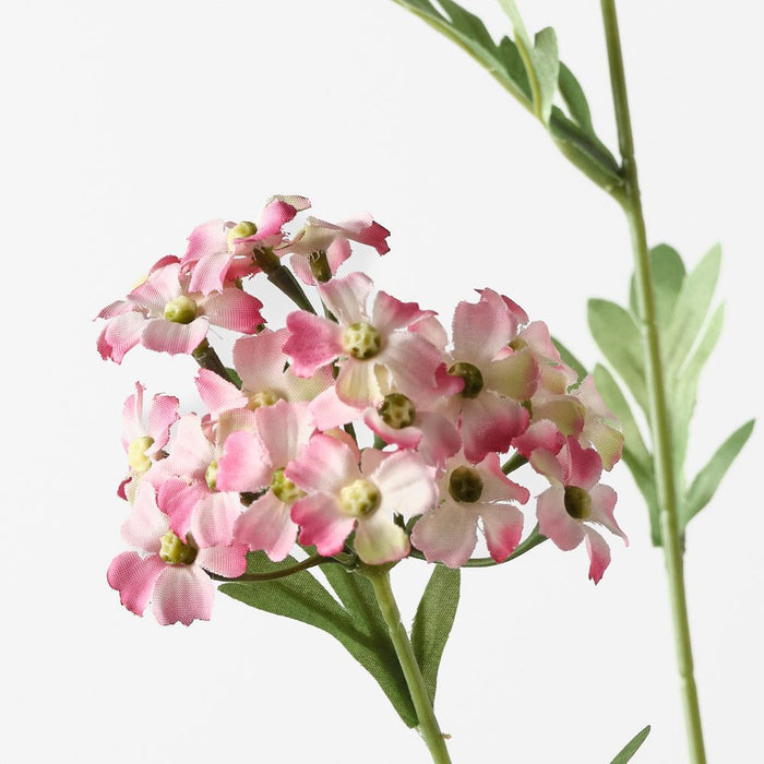 Achillea Spray Pink Mauve 68cm Pack of 12