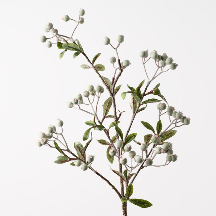 Berry Spray Green 72cm Pack of 12