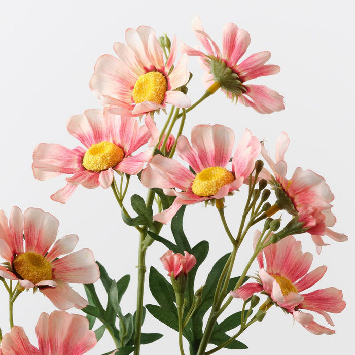 Daisy Crown Spray Coral 73cm Pack of 12