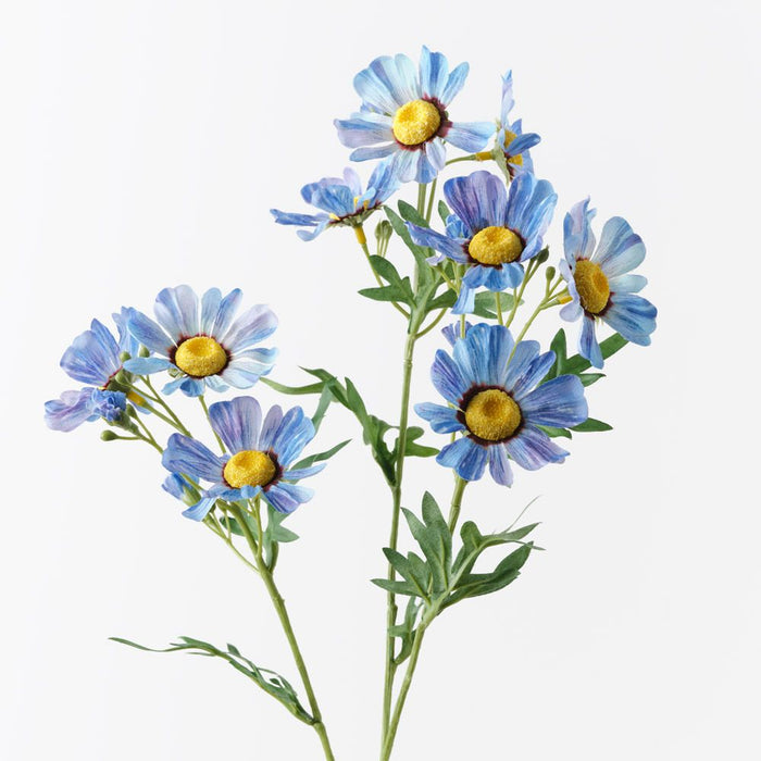 Daisy Crown Spray French Blue 73cm Pack of 12