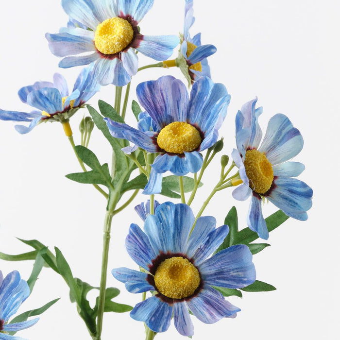 Daisy Crown Spray French Blue 73cm Pack of 12