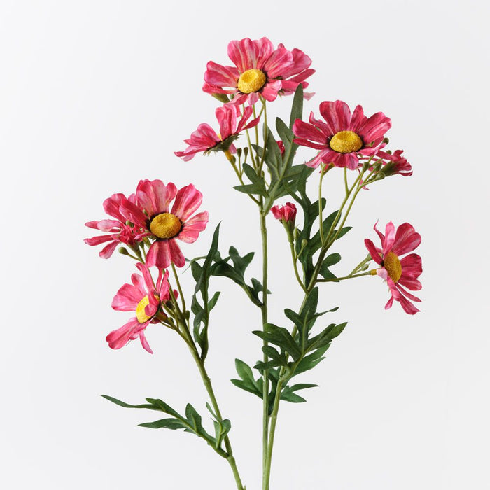 Daisy Crown Spray Fuschia 73cm Pack of 12