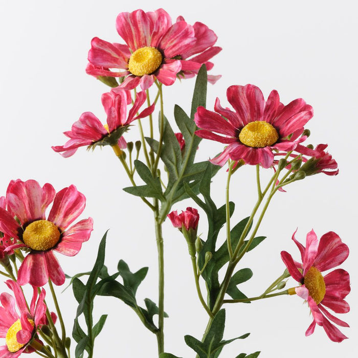Daisy Crown Spray Fuschia 73cm Pack of 12