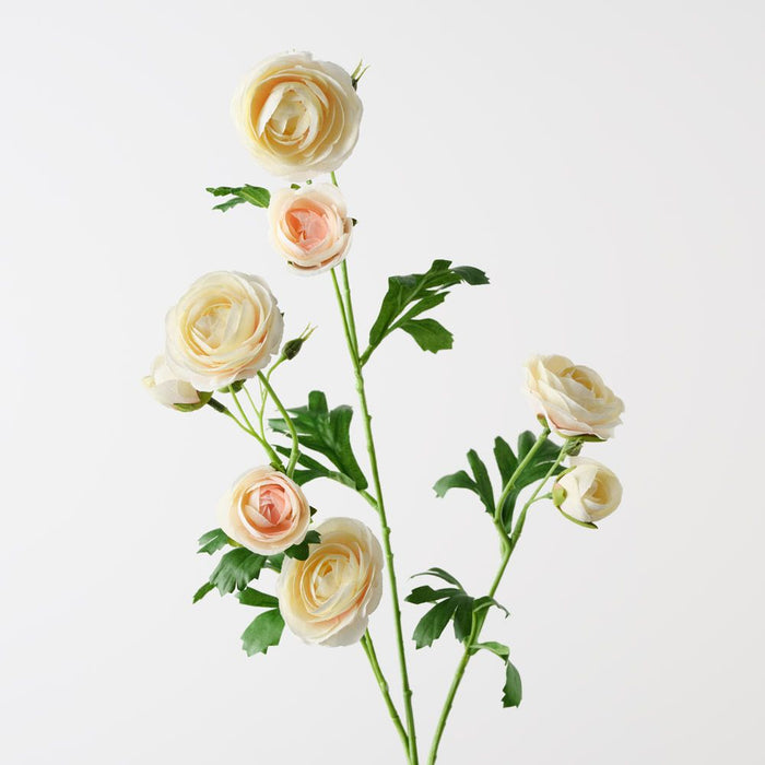 Ranunculus Spray Cream 77cm Pack of 12