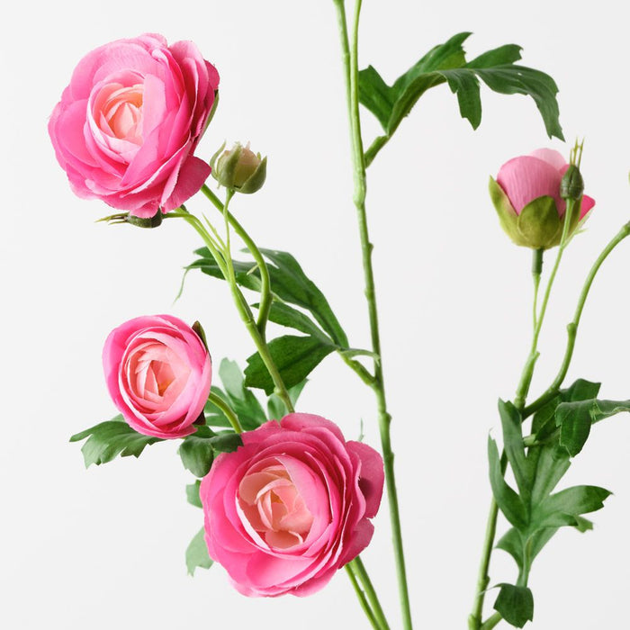 Ranunculus Spray Hot Pink 77cm Pack of 12