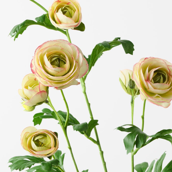 Ranunculus Spray Light Green Mauve 77cm Pack of 12