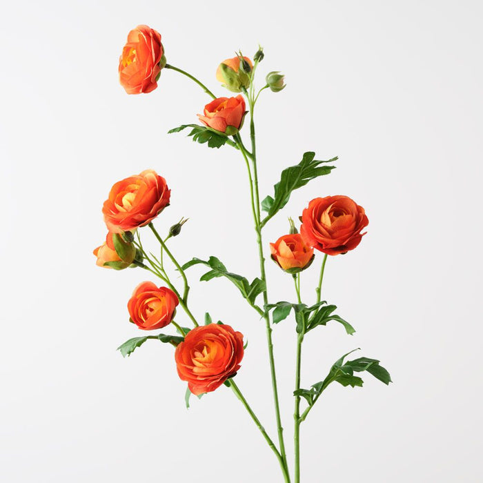 Ranunculus Spray Orange 77cm Pack of 12