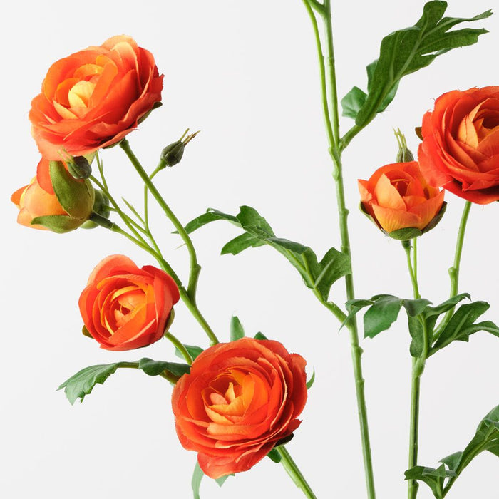 Ranunculus Spray Orange 77cm Pack of 12