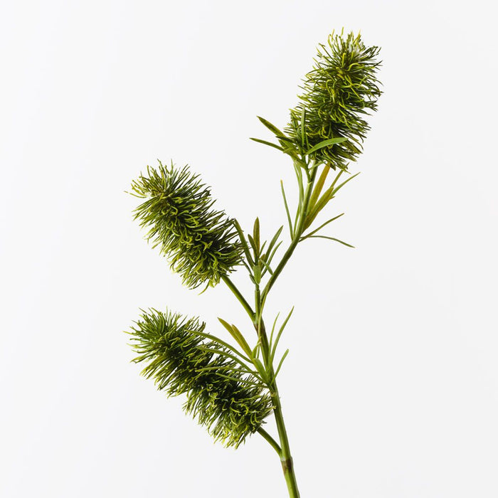 Bottlebrush Spray Green 58cm Pack of 12