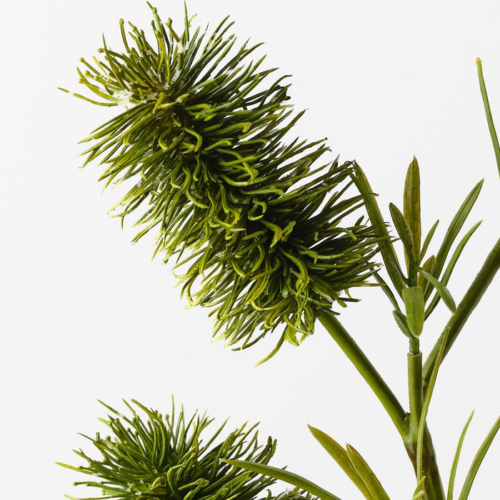 Bottlebrush Spray Green 58cm Pack of 12