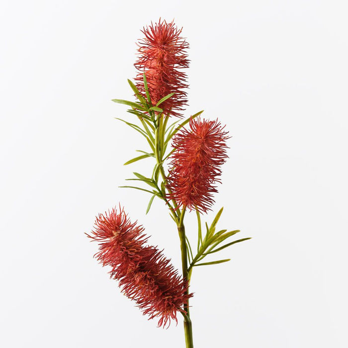 Bottlebrush Spray Red 58cm Pack of 12