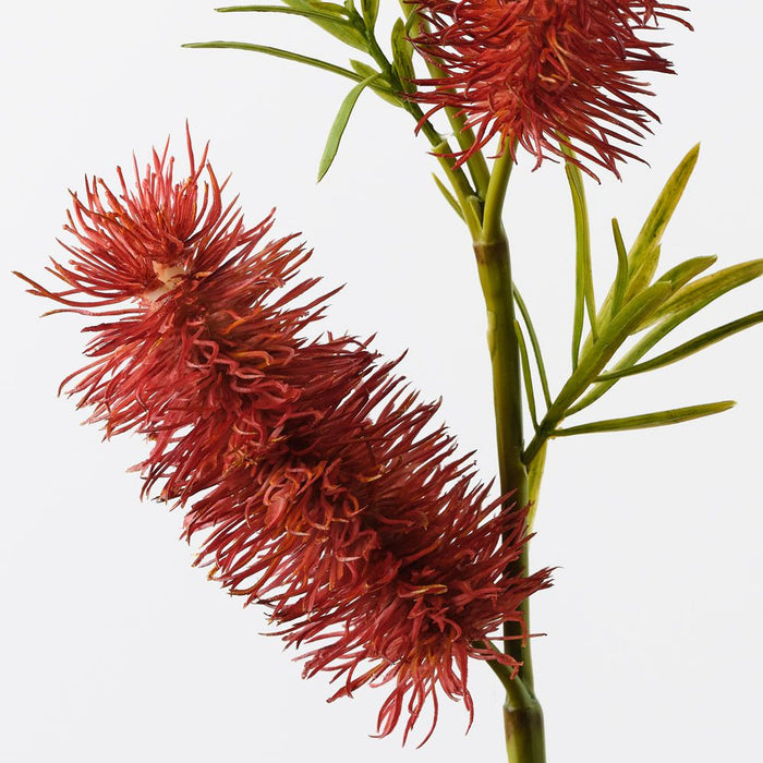 Bottlebrush Spray Red 58cm Pack of 12