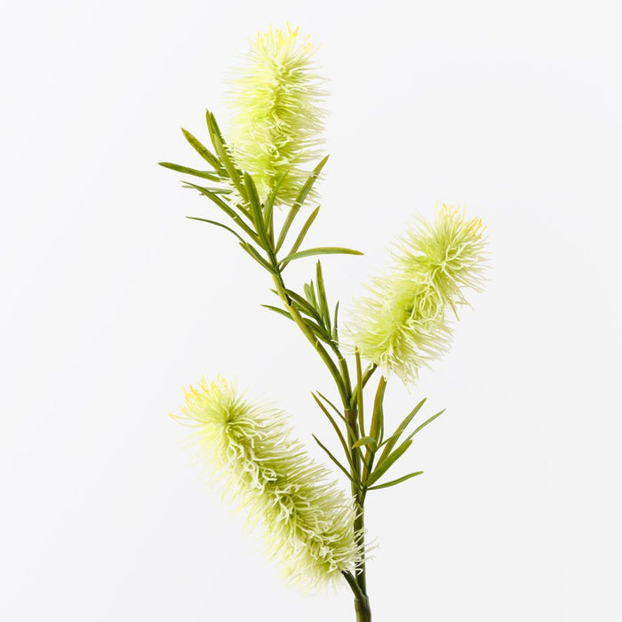 Bottlebrush Spray White Green 58cm Pack of 12