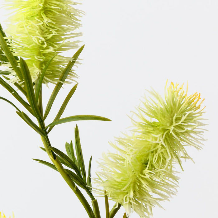 Bottlebrush Spray White Green 58cm Pack of 12