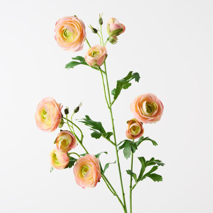 Ranunculus Spray Peach 77cm Pack of 12