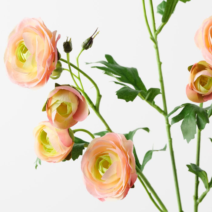 Ranunculus Spray Peach 77cm Pack of 12