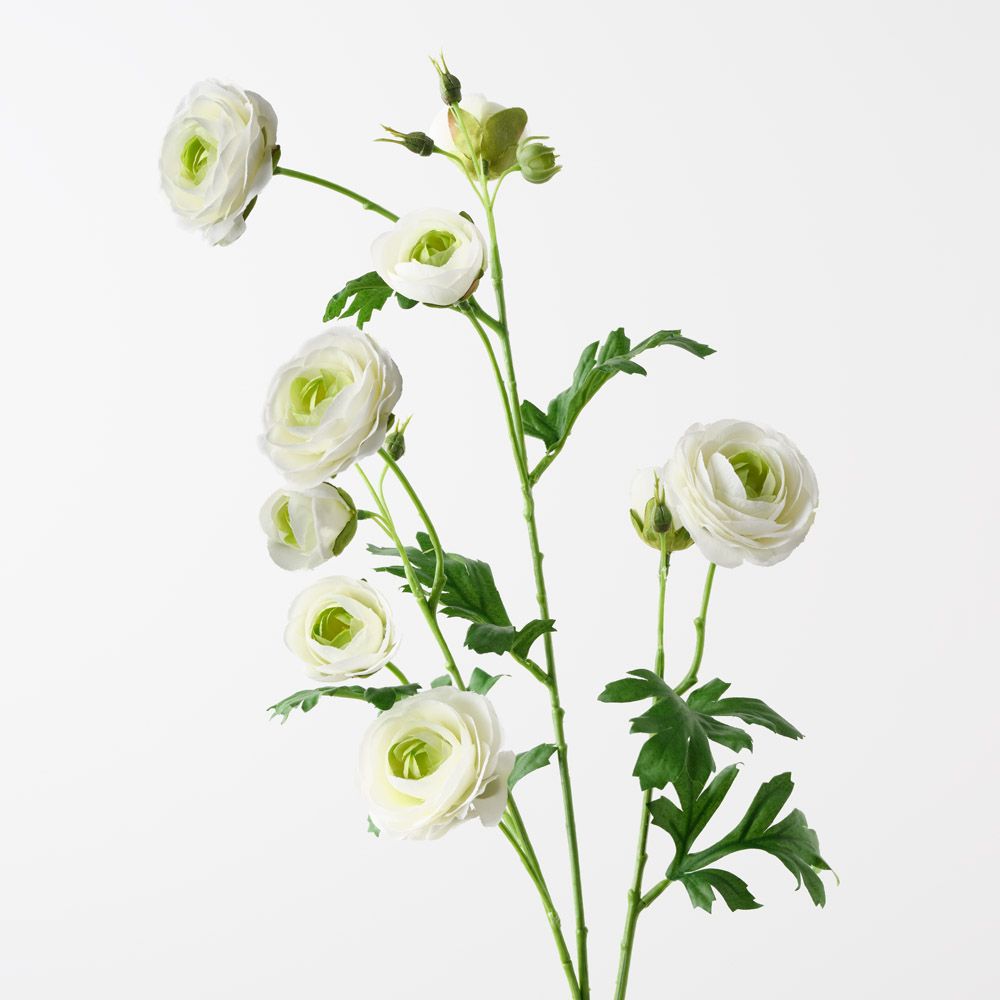 Artificial Ranunculus Spray White Green 77cm — Flora Designs Australia