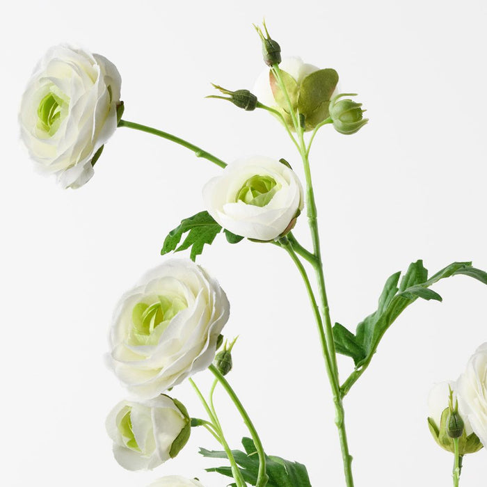 Ranunculus Spray White Green 77cm Pack of 12
