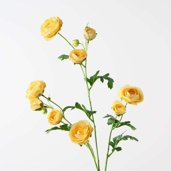 Ranunculus Spray Yellow 77cm Pack of 12