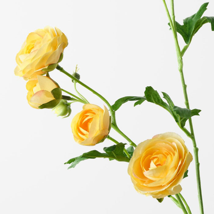 Ranunculus Spray Yellow 77cm Pack of 12