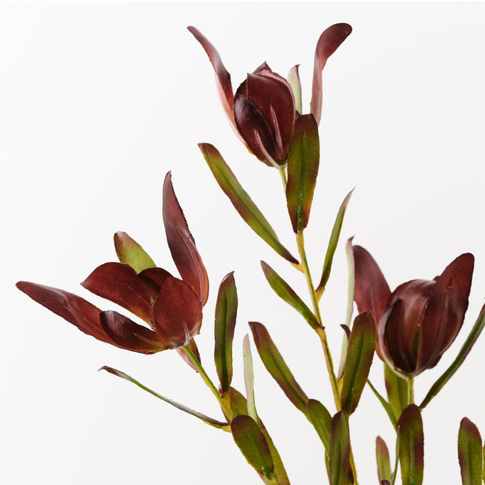 Protea Leucadendron Spray Burgundy Green 61cm Pack of 12