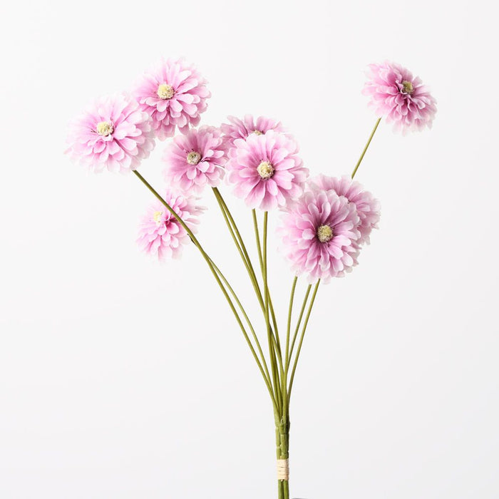 Zinnia Bundle Lavender 58cm Pack of 12