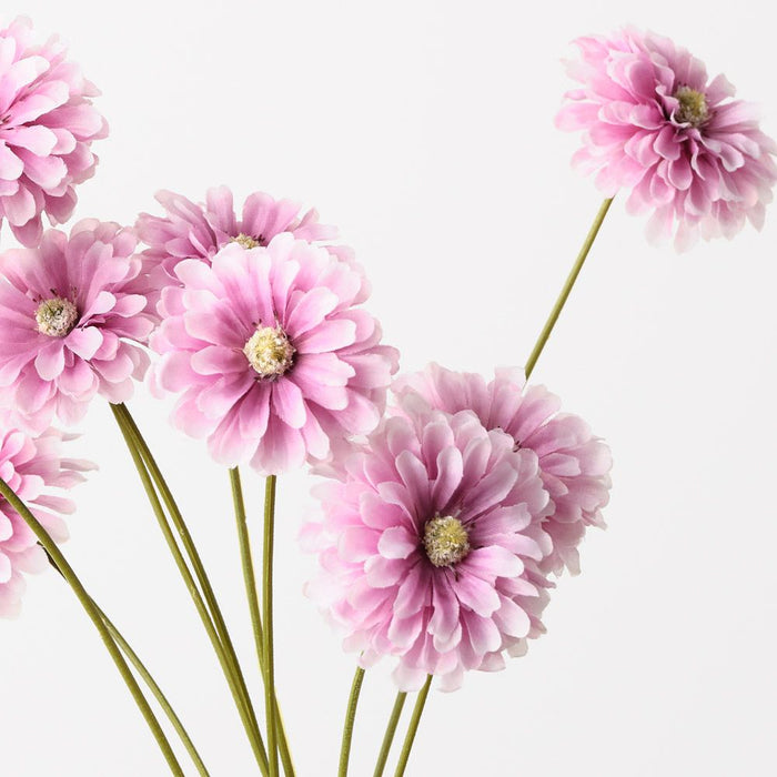 Zinnia Bundle Lavender 58cm Pack of 12