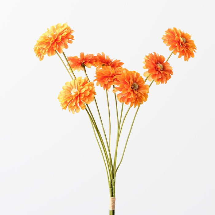 Zinnia Bundle Orange 58cm Pack of 12