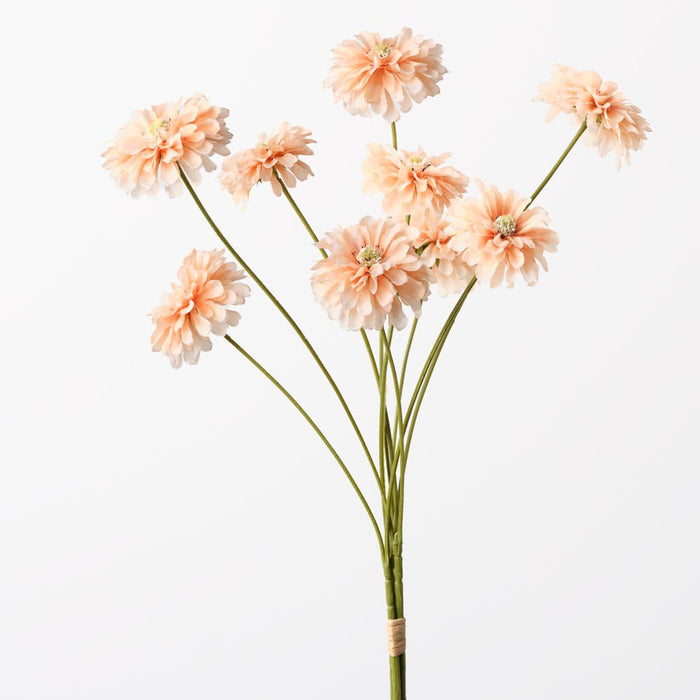 Zinnia Bundle Peach 58cm Pack of 12