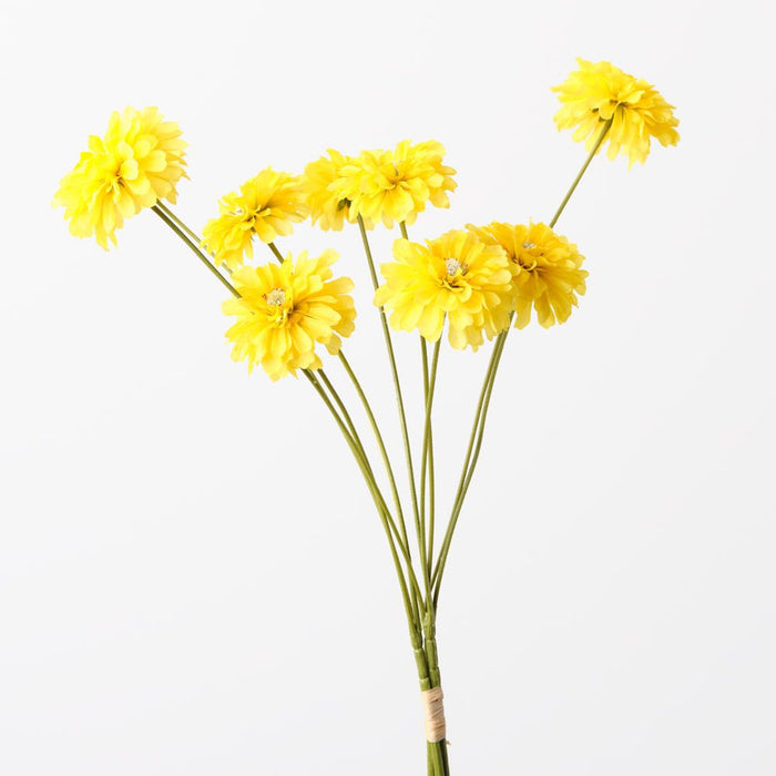 Zinnia Bundle Yellow 58cm Pack of 12