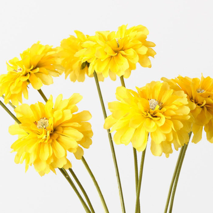 Zinnia Bundle Yellow 58cm Pack of 12