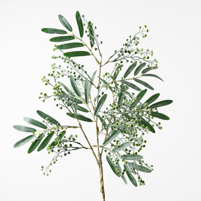 Seed Spray Grey Green 66cm Pack of 12