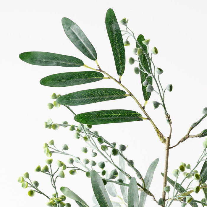 Seed Spray Grey Green 66cm Pack of 12