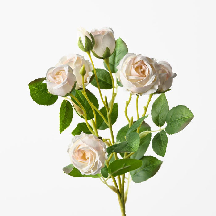 Rose Bud Spray Cream 46cm Pack of 12