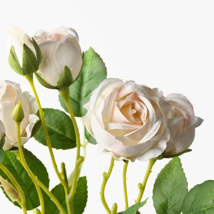 Rose Bud Spray Cream 46cm Pack of 12