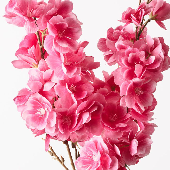 Blossom Cherry Coral Pink 82cm Pack of 12
