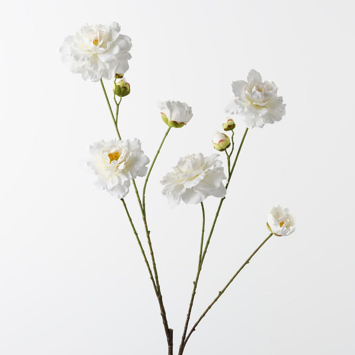 Camellia Branch Cream 110cm Pack of 12