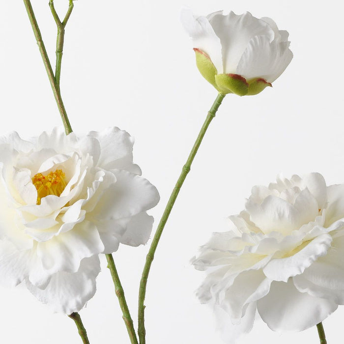 Camellia Branch Cream 110cm Pack of 12