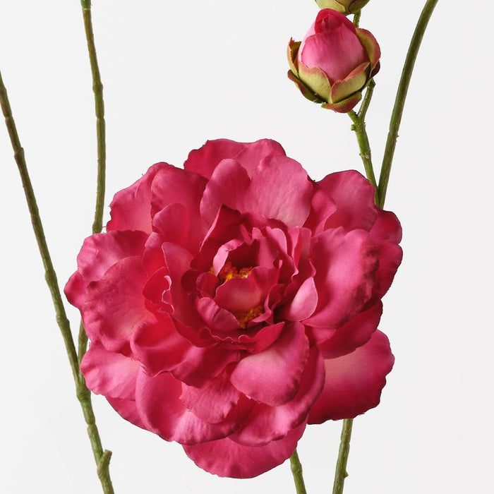 Camellia Branch Fuschia 110cm Pack of 12